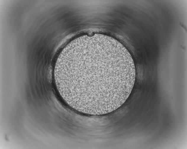 X0000102380016200808291411