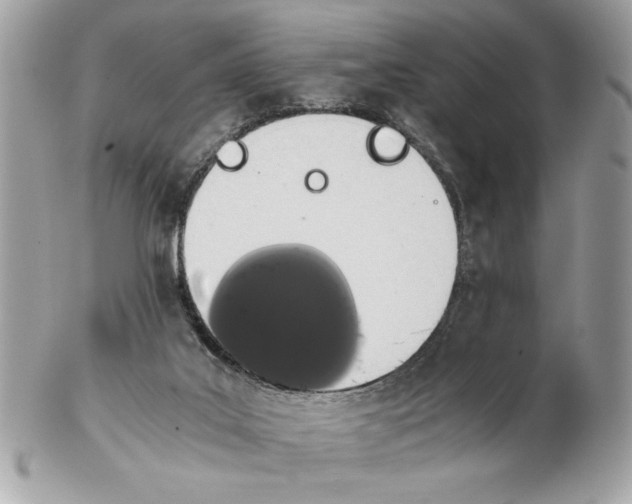 X0000102380019200808291411