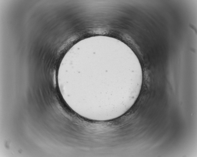 X0000102380020200808291411