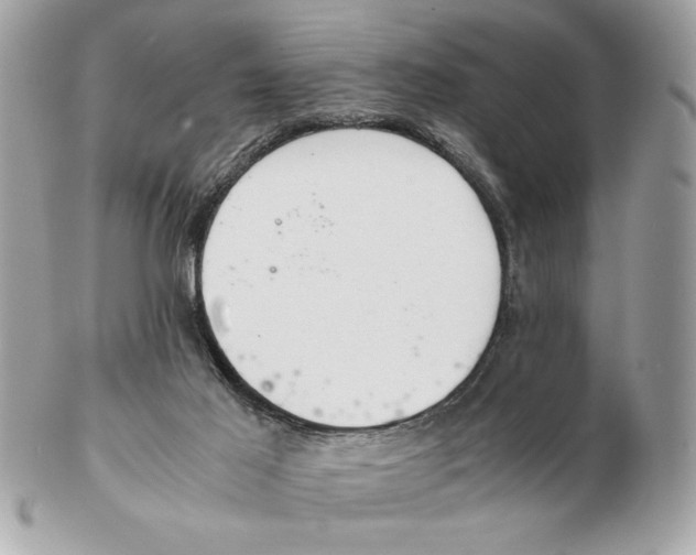 X0000102380021200808291411