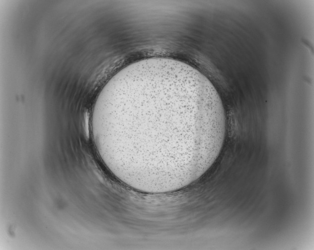 X0000102380022200808291411