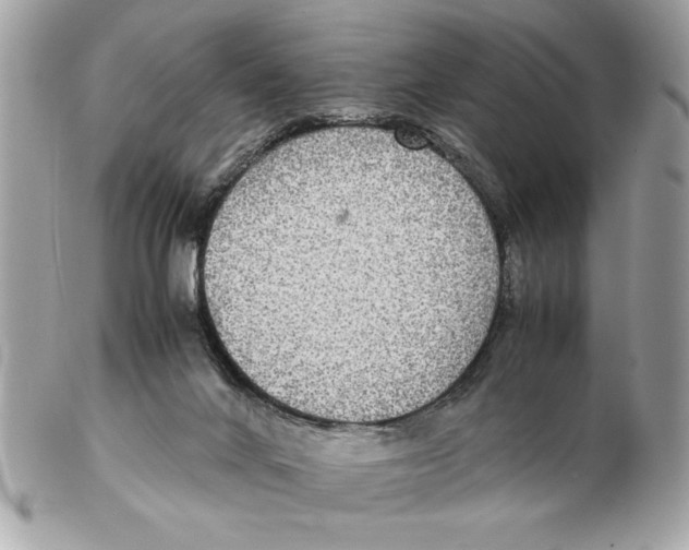 X0000102380024200808291411