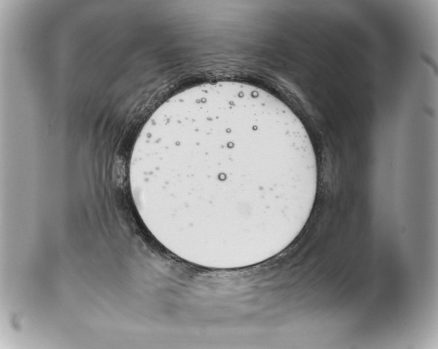 X0000102380025200808291411