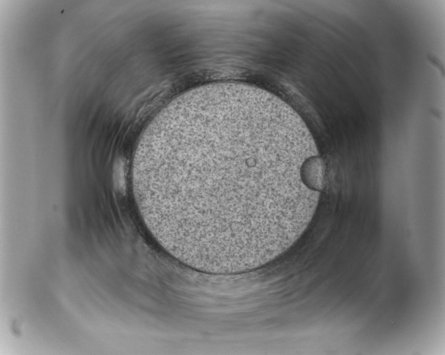 X0000102380026200808291411