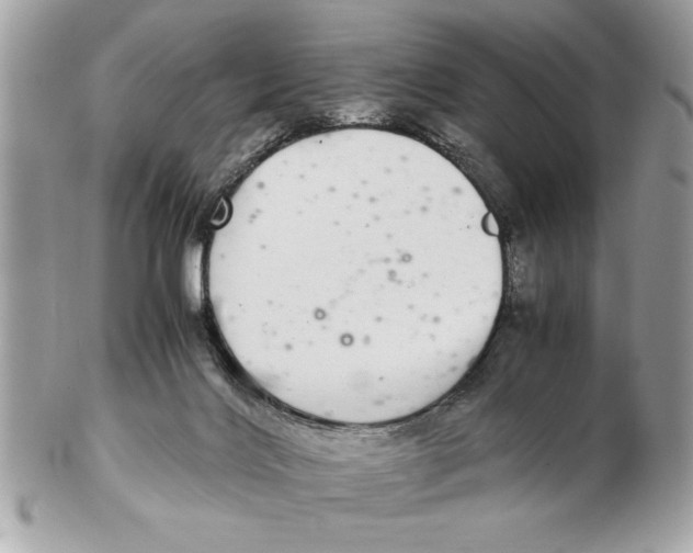 X0000102380028200808291411