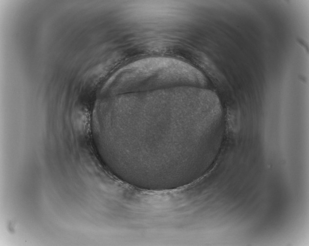 X0000102380029200808291411