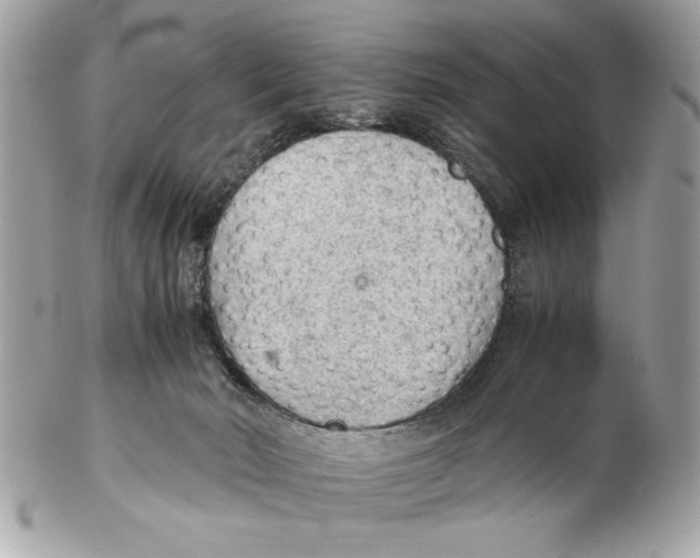 X0000102380030200808291411