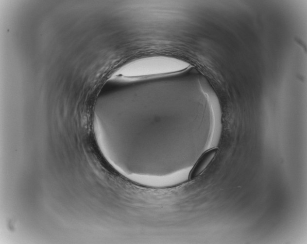 X0000102380031200808291411