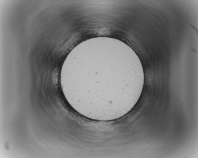 X0000102380032200808291411