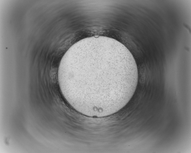 X0000102380034200808291411