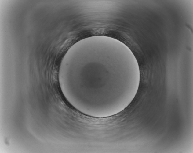 X0000102380035200808291411