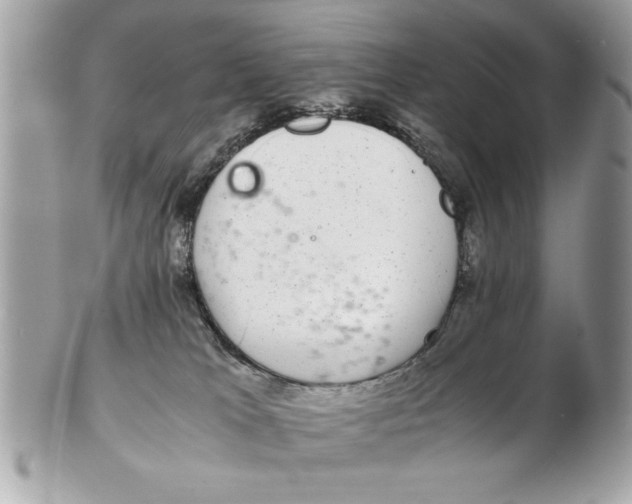 X0000102380037200808291411