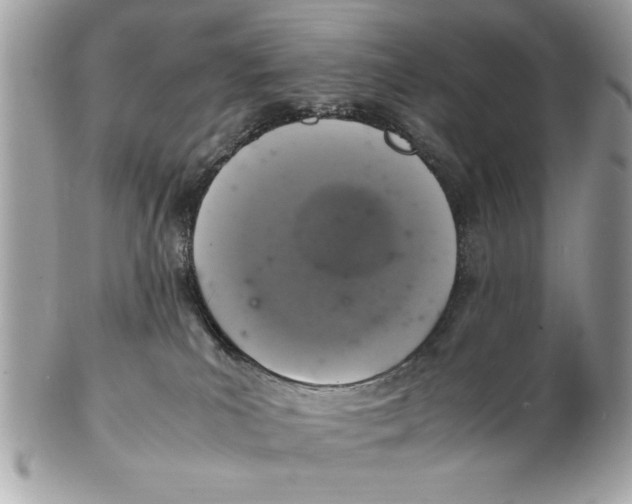 X0000102380039200808291411