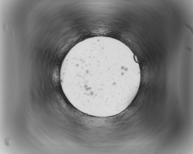 X0000102380040200808291411