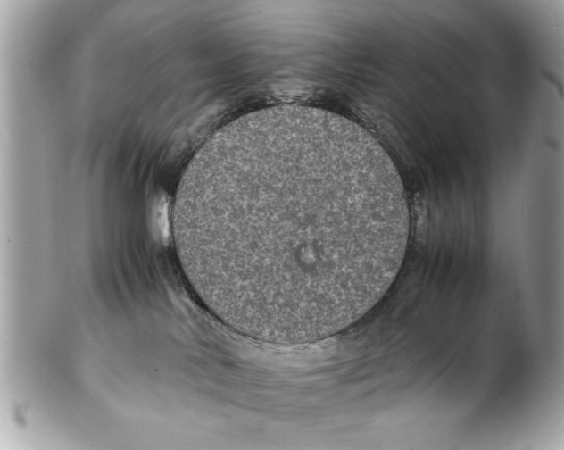 X0000102380042200808291411