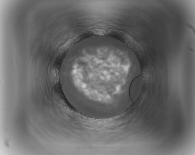 X0000102380043200808291411