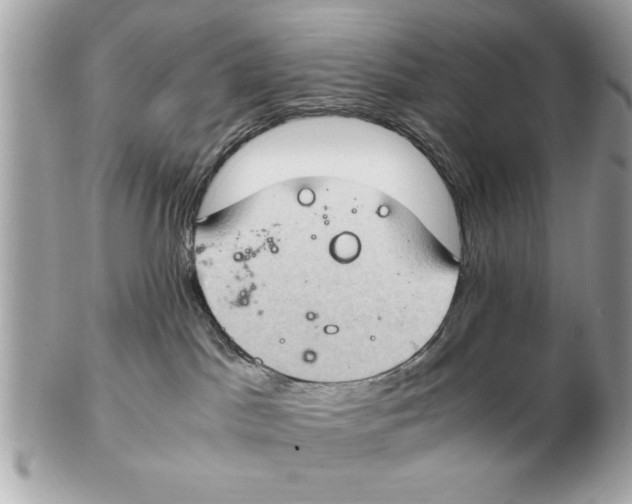 X0000102380045200808291411