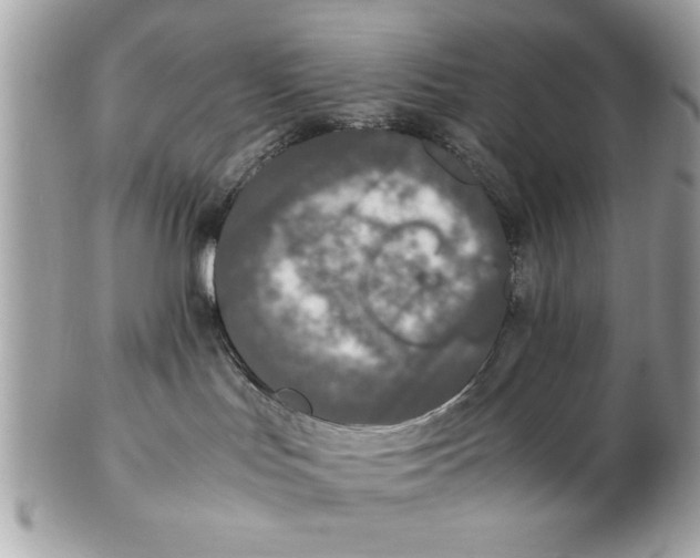 X0000102380047200808291411