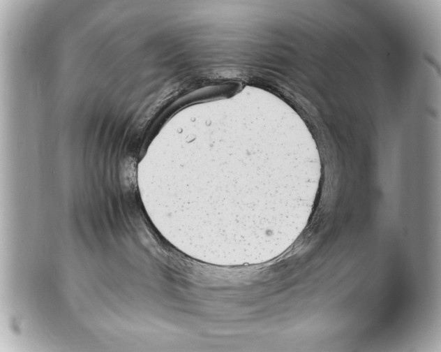 X0000102380048200808291411