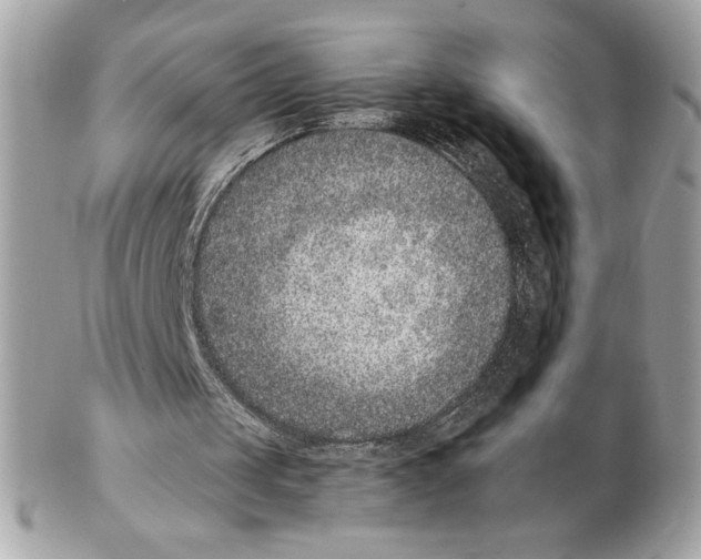 X0000102380049200808291410