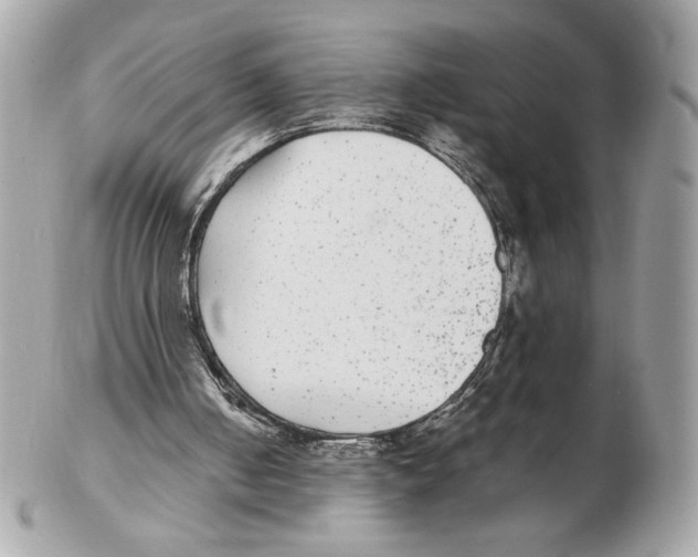 X0000102380050200808291410