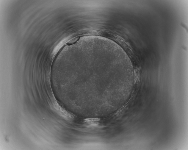 X0000102380051200808291410