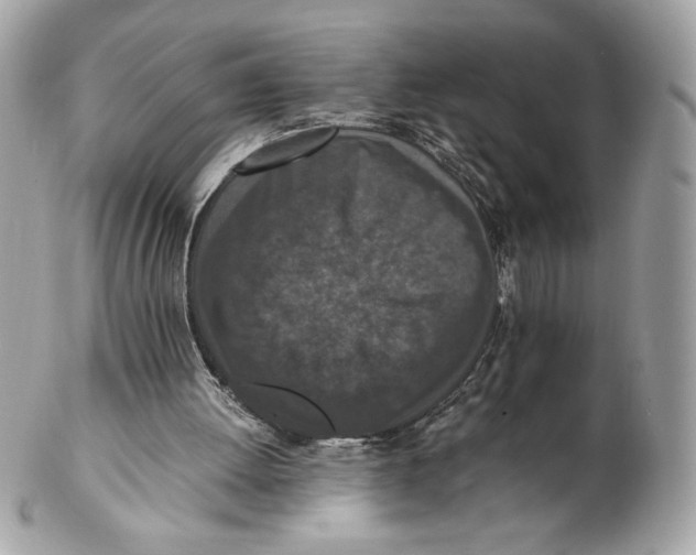 X0000102380052200808291410