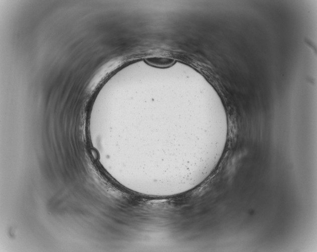 X0000102380054200808291410