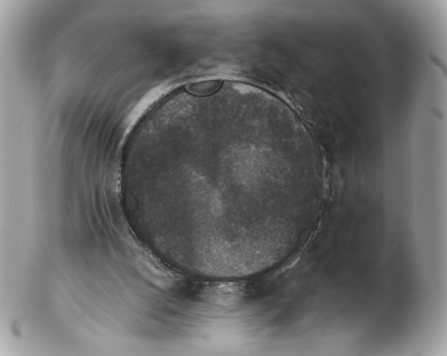 X0000102380056200808291410