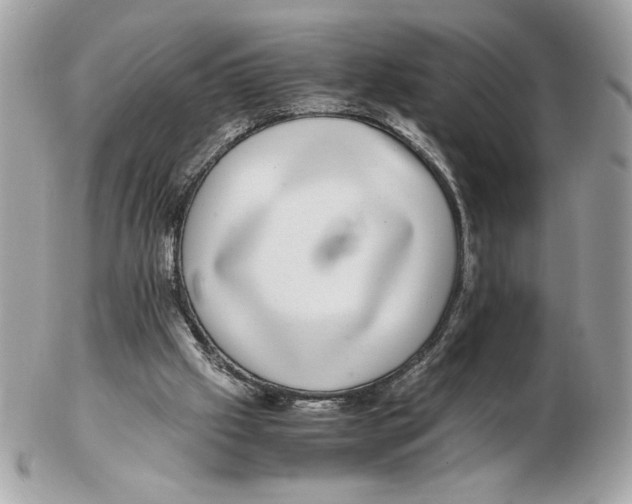 X0000102380057200808291410