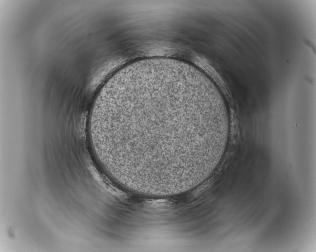 X0000102380058200808291410