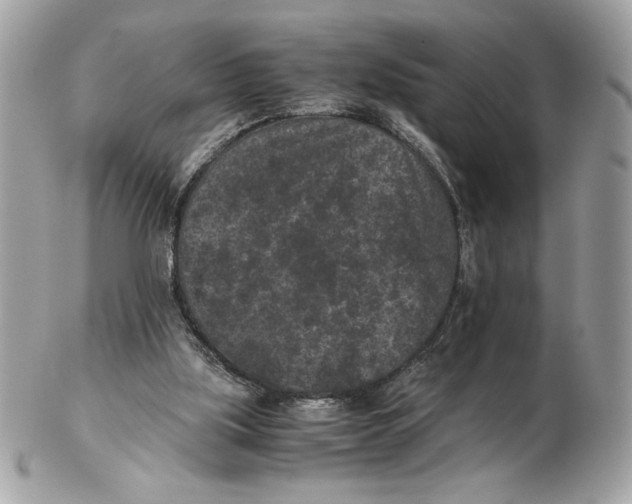 X0000102380059200808291410