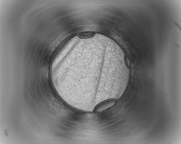 X0000102380060200808291410