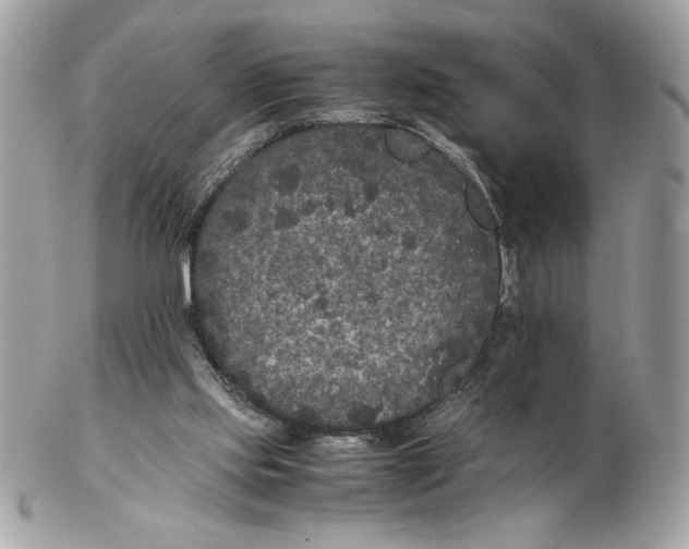 X0000102380061200808291410