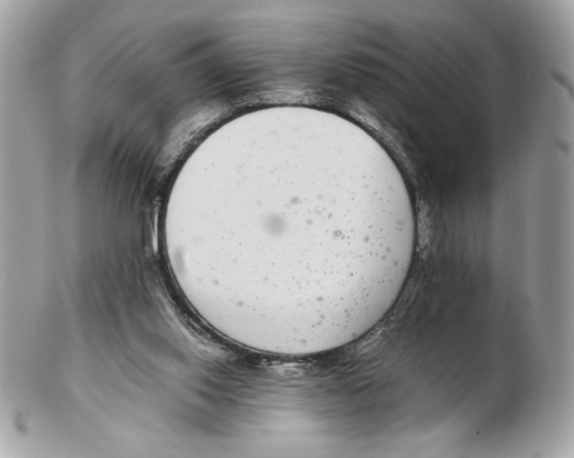 X0000102380062200808291410