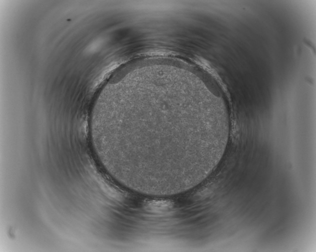 X0000102380063200808291410