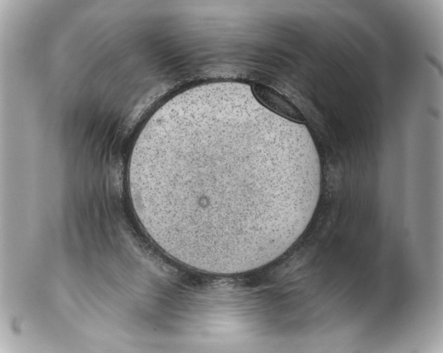 X0000102380064200808291410