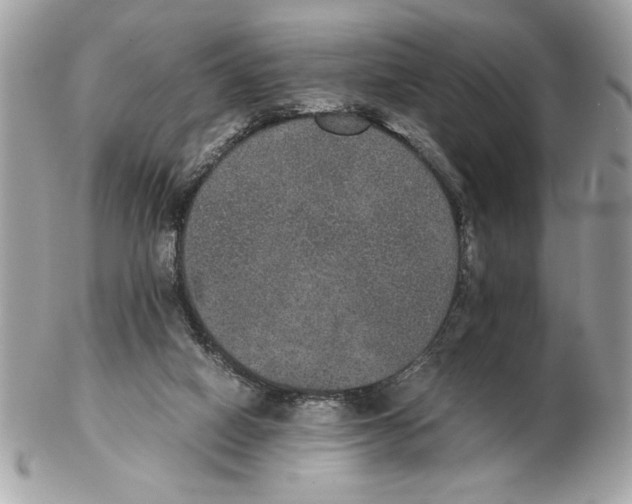 X0000102380066200808291410