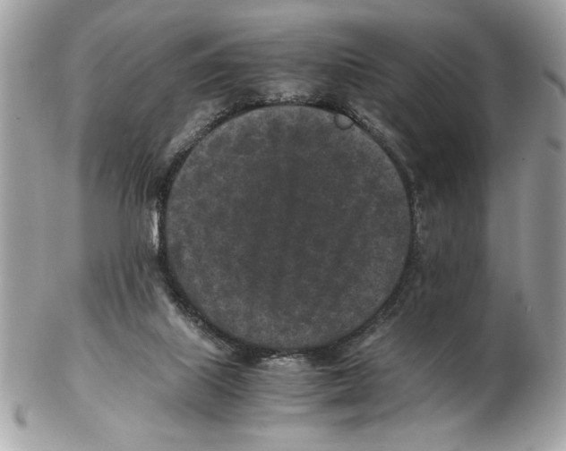 X0000102380067200808291410