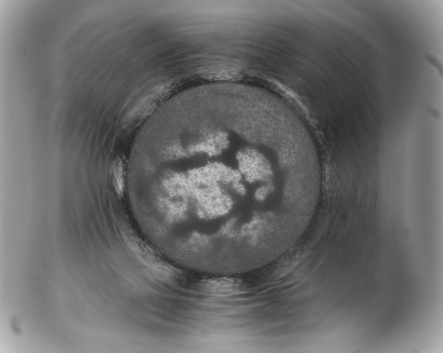 X0000102380069200808291410