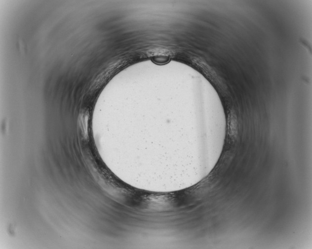 X0000102380070200808291410