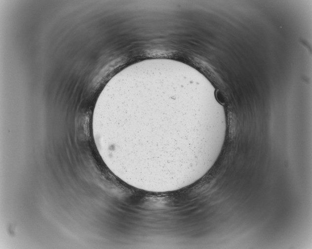 X0000102380071200808291410