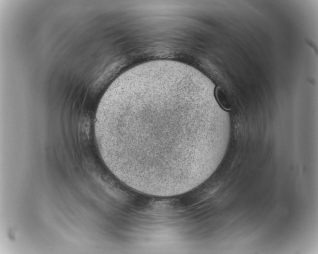 X0000102380072200808291410