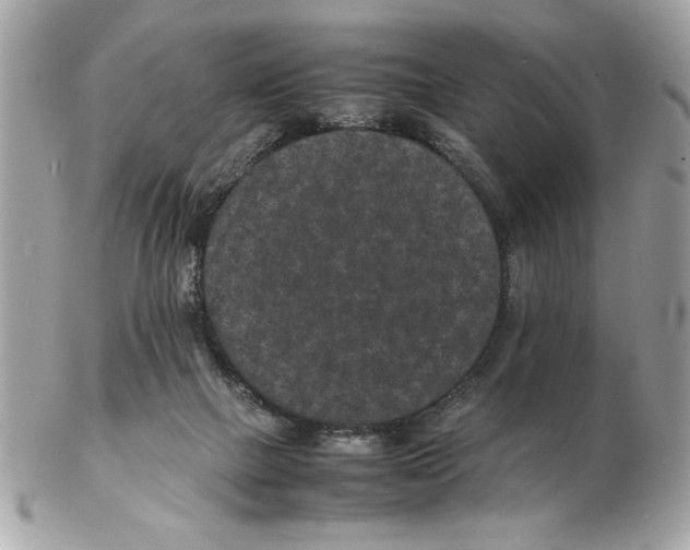 X0000102380073200808291410