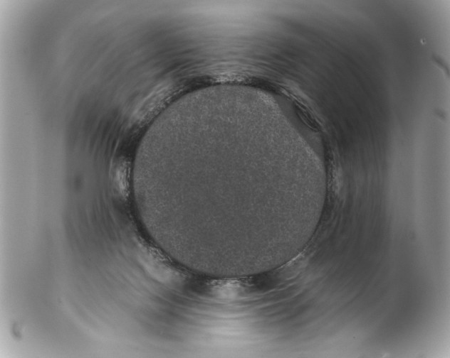 X0000102380074200808291410