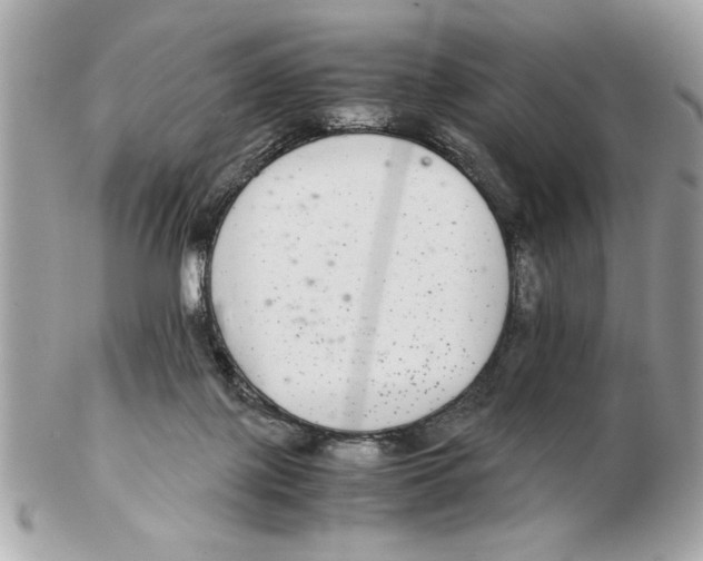 X0000102380075200808291410