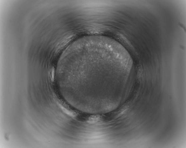 X0000102380076200808291410