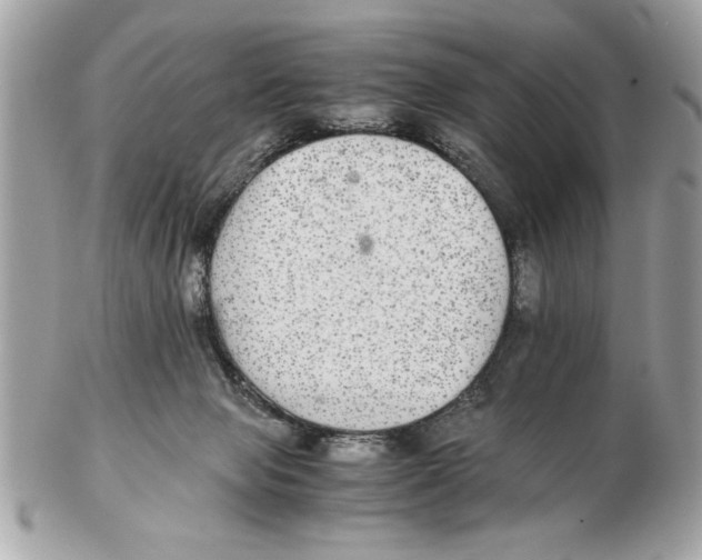 X0000102380077200808291410