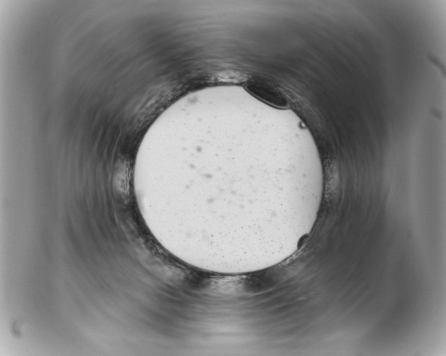 X0000102380078200808291411