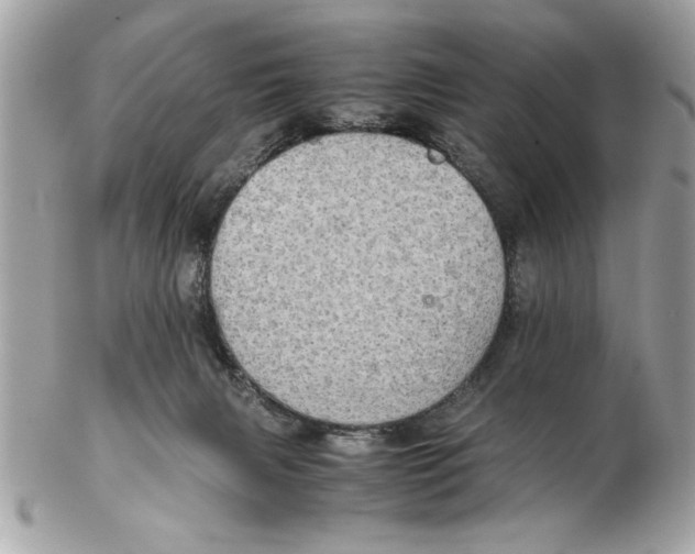 X0000102380079200808291411